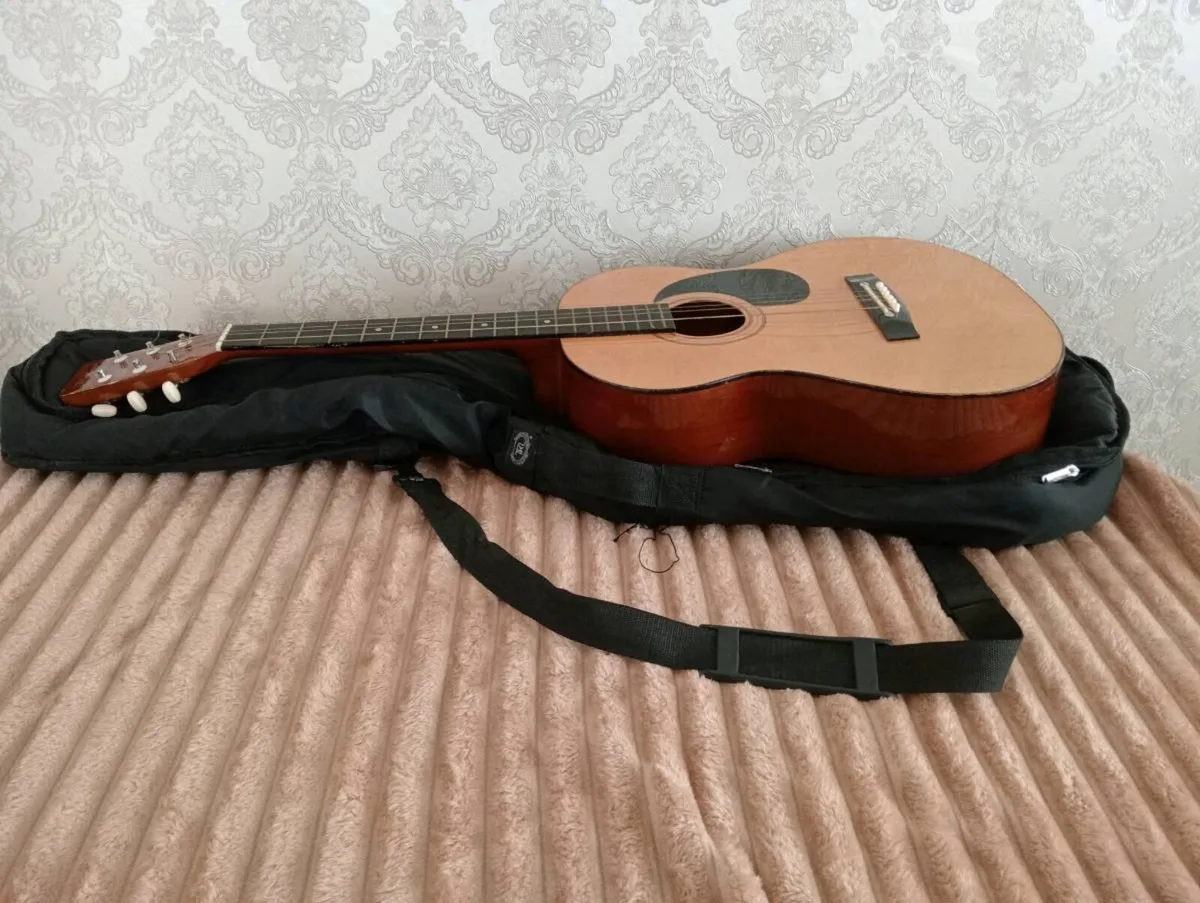 Hohner guitar - Image 2
