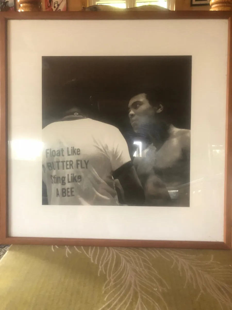Framed Pictures - Image 3