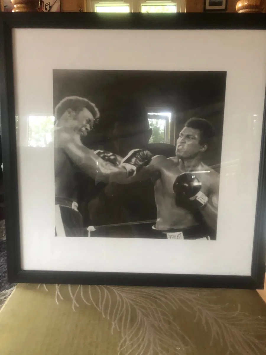Framed Pictures - Image 1