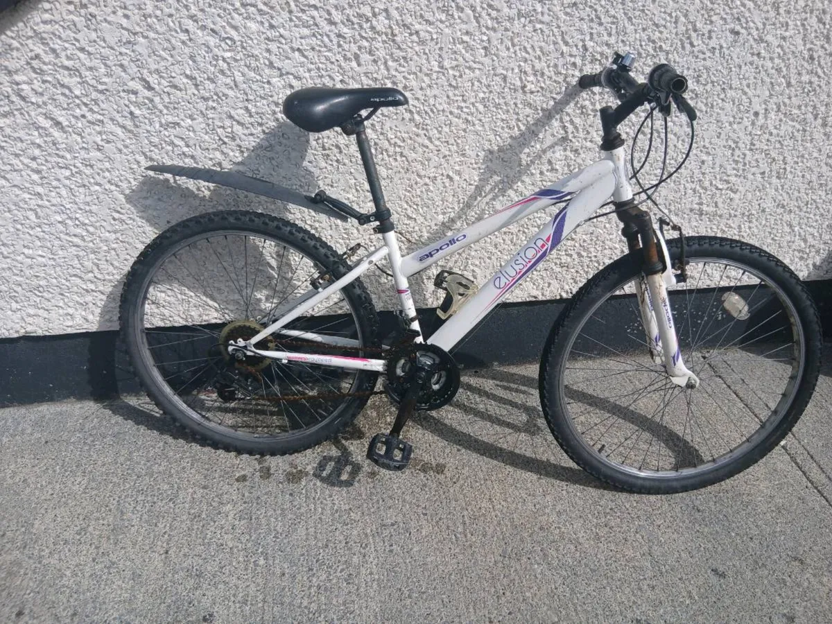TEENS/ADULTS BIKE - Image 2