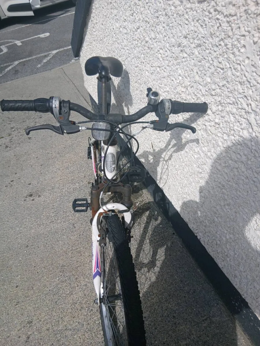 TEENS/ADULTS BIKE - Image 3
