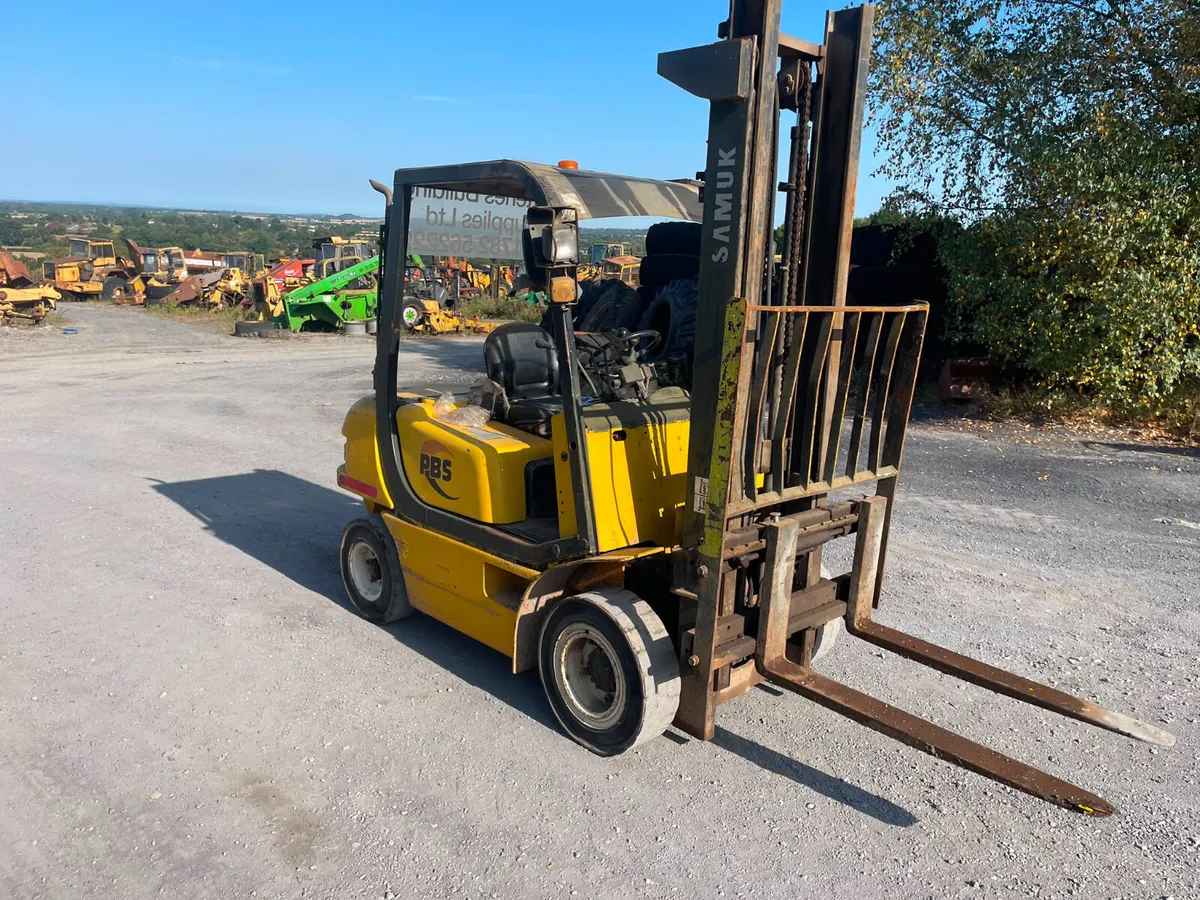 Sanuk 2.5 Ton Forklift - Image 2