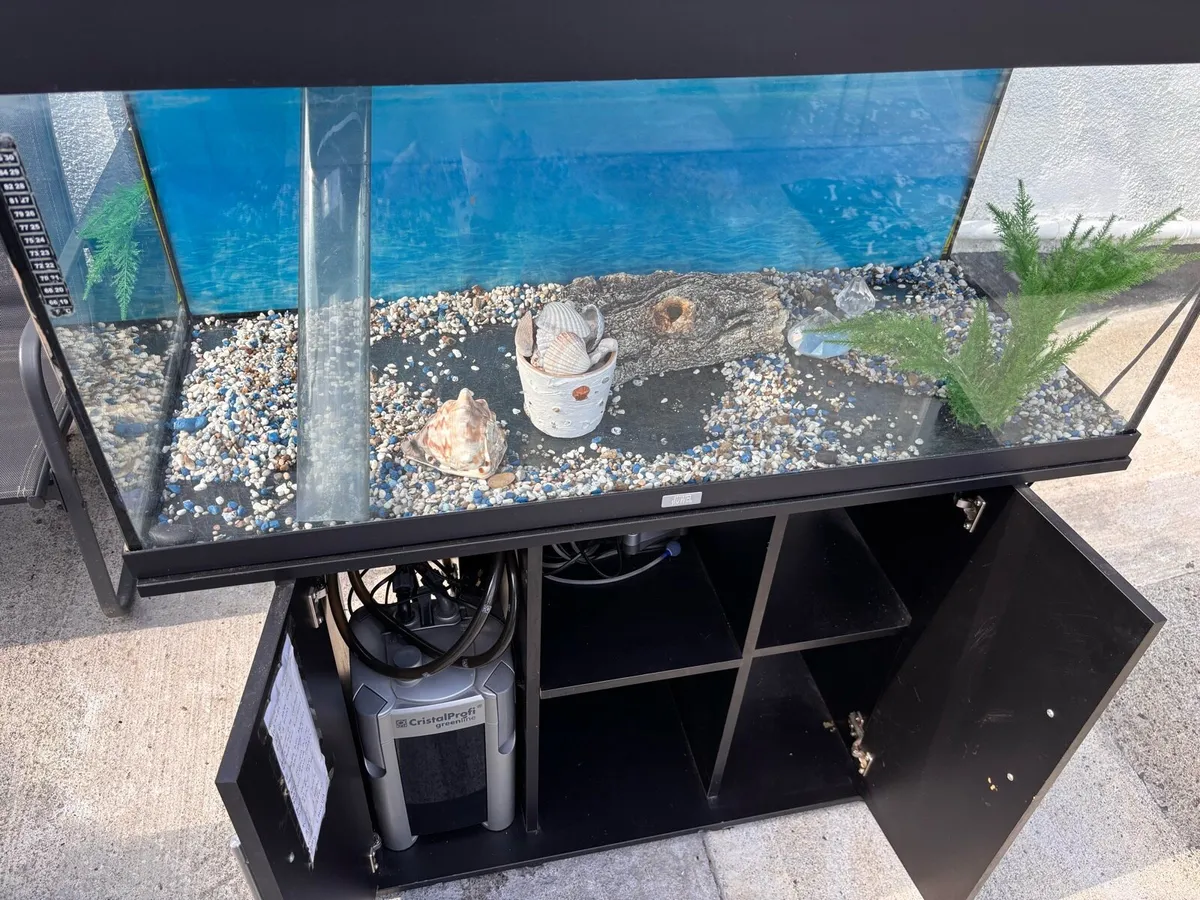 Fish tank - Image 2