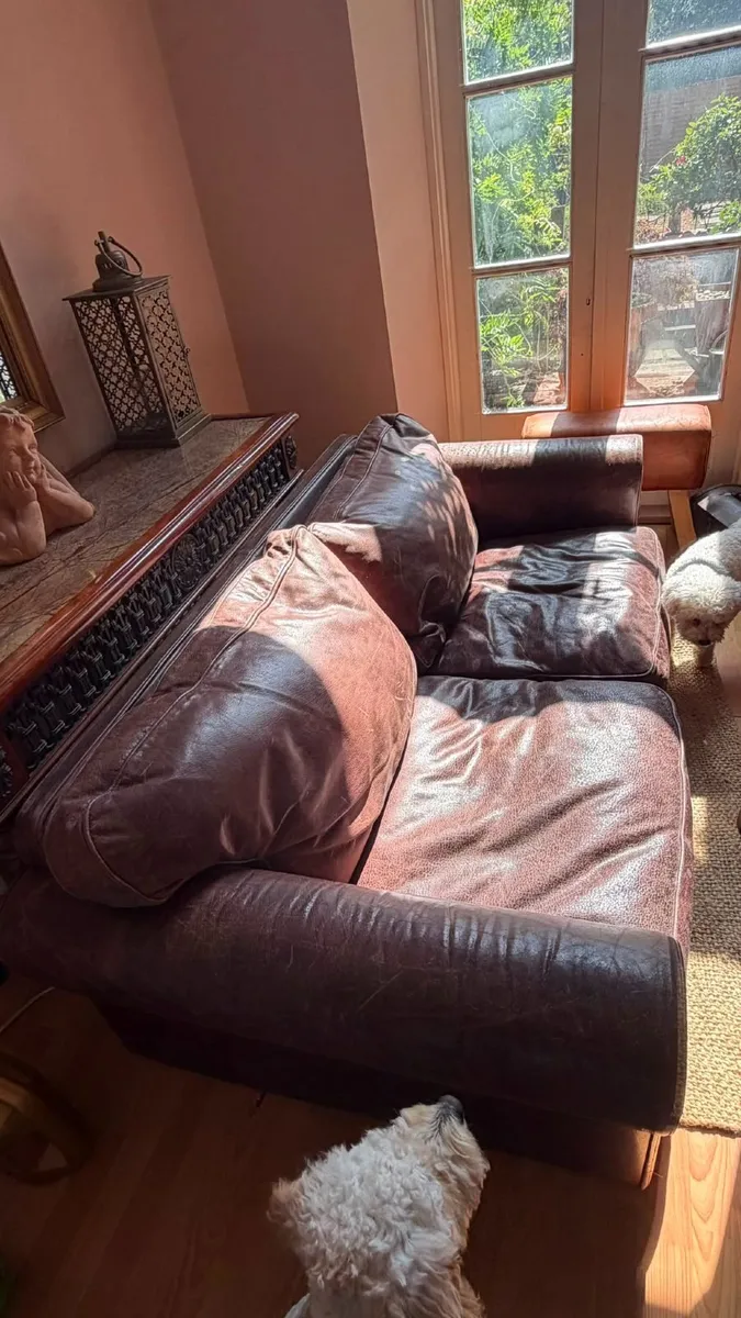 Library style all leather Three seater sofa - Image 2