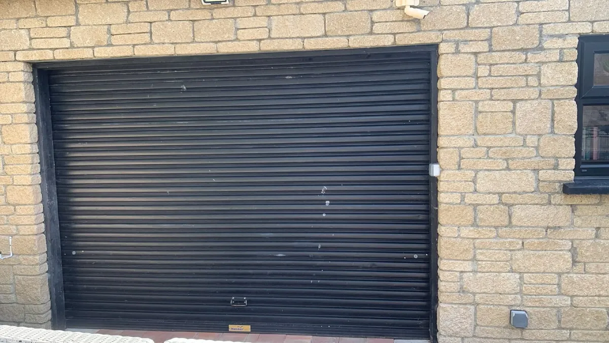 Electric or Manual Hanger Roller Door - Image 4