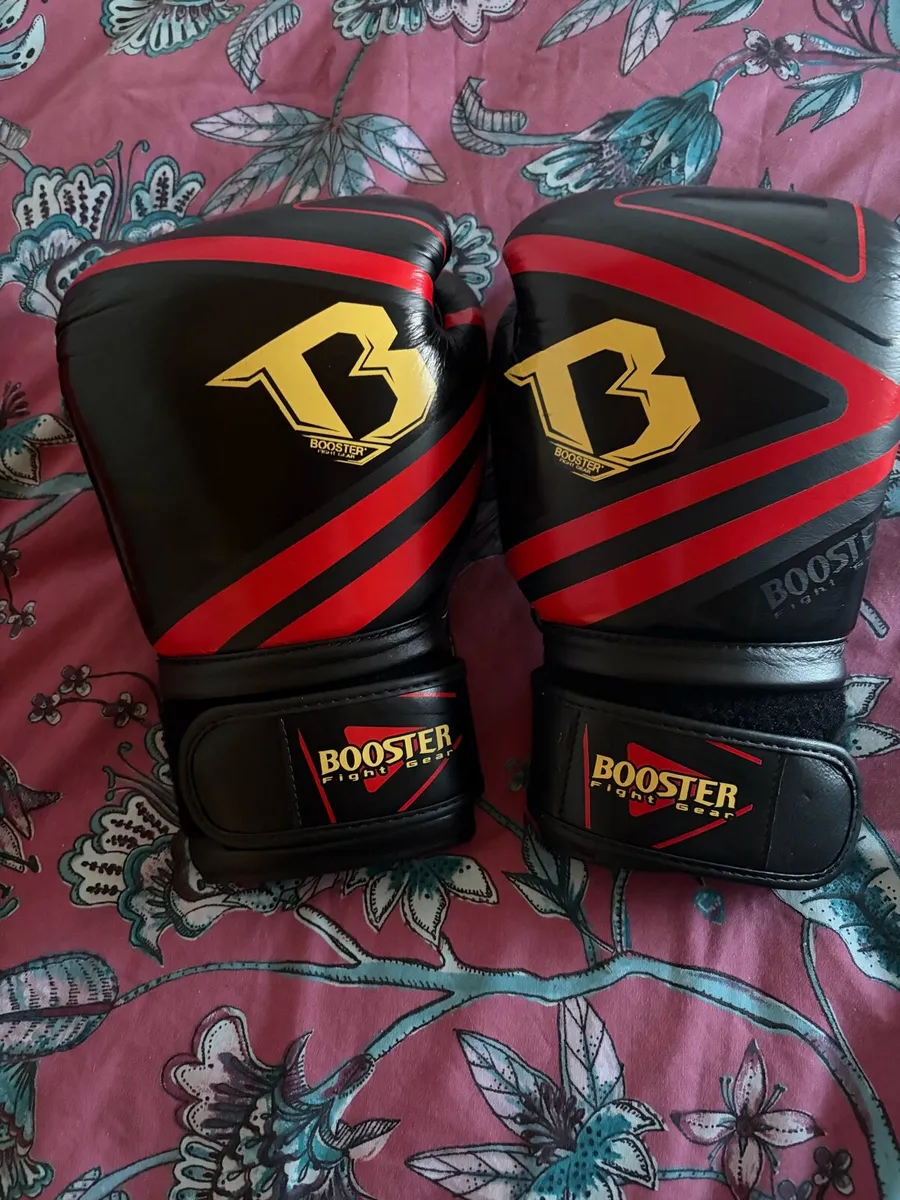 Boxing gear - Image 1