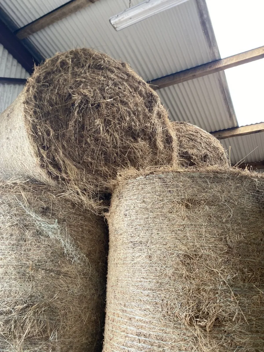 Hay bales - Image 1