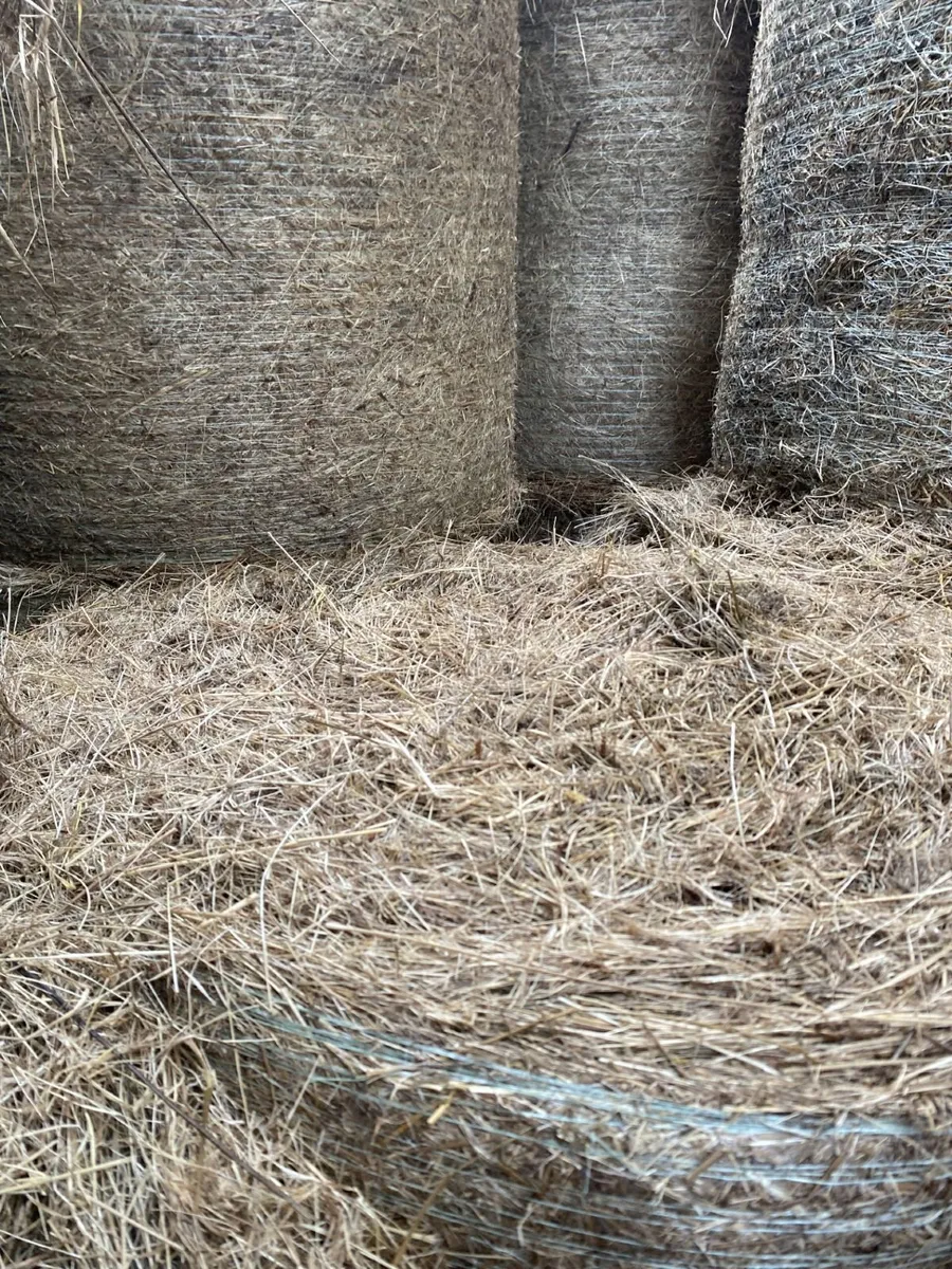 Hay bales - Image 2