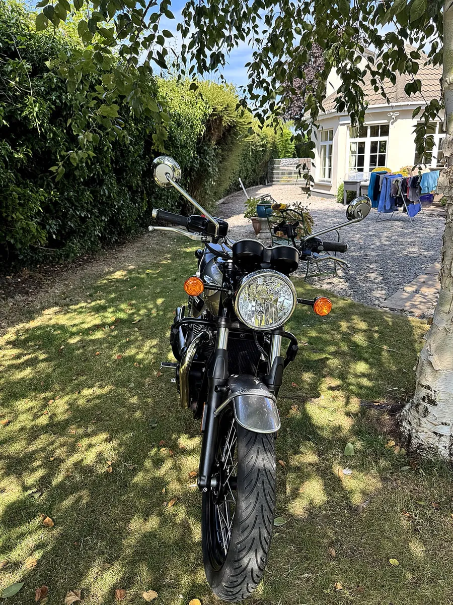 Triumph Bonneville T100 Gold Line - Image 3