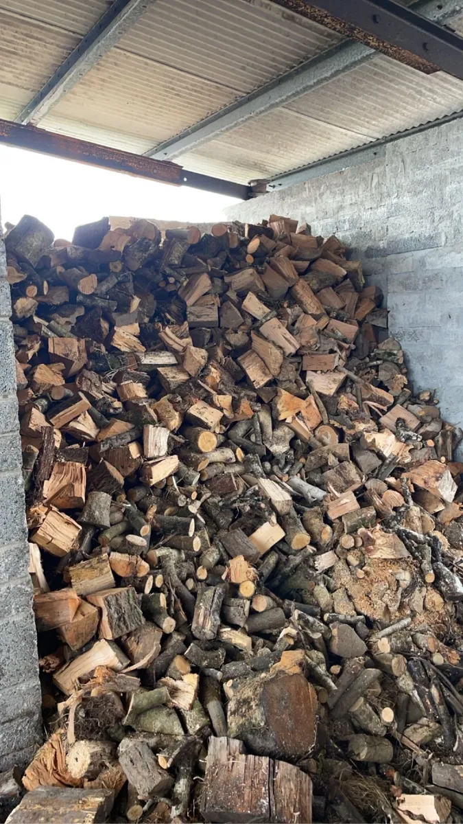 Firewood - Image 2