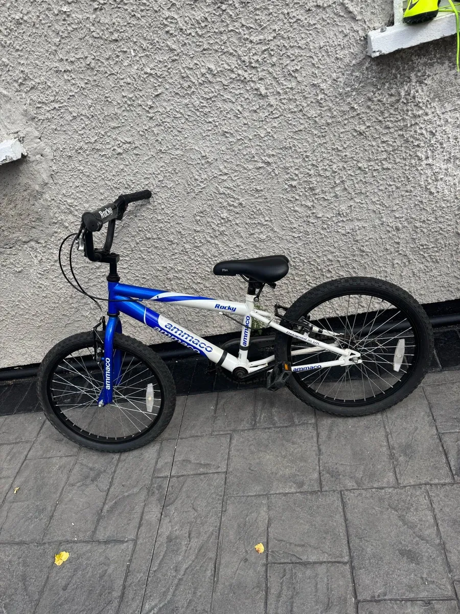 Boys Bicycle 20”