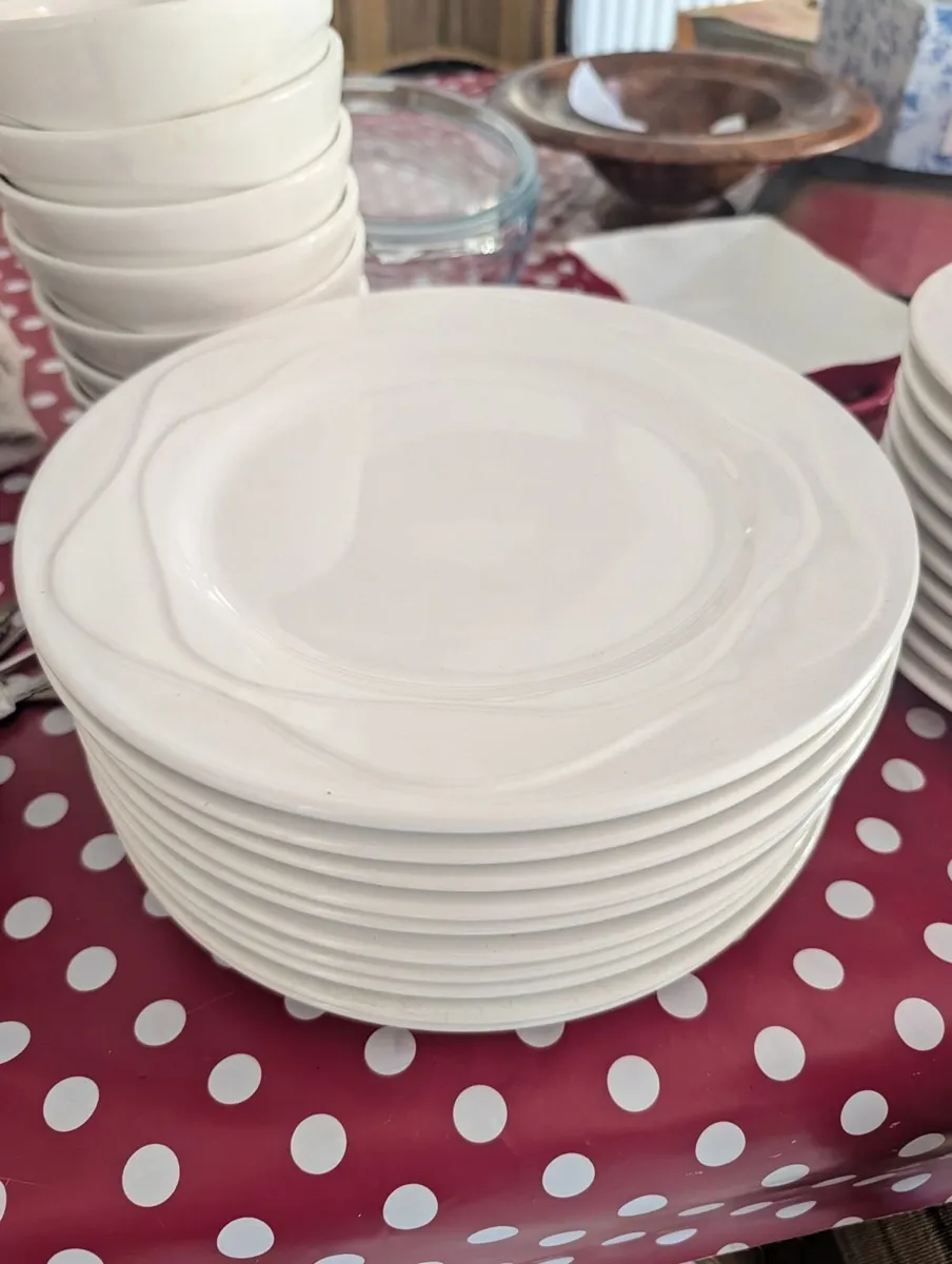 New set of delph plates and bowls - Image 1