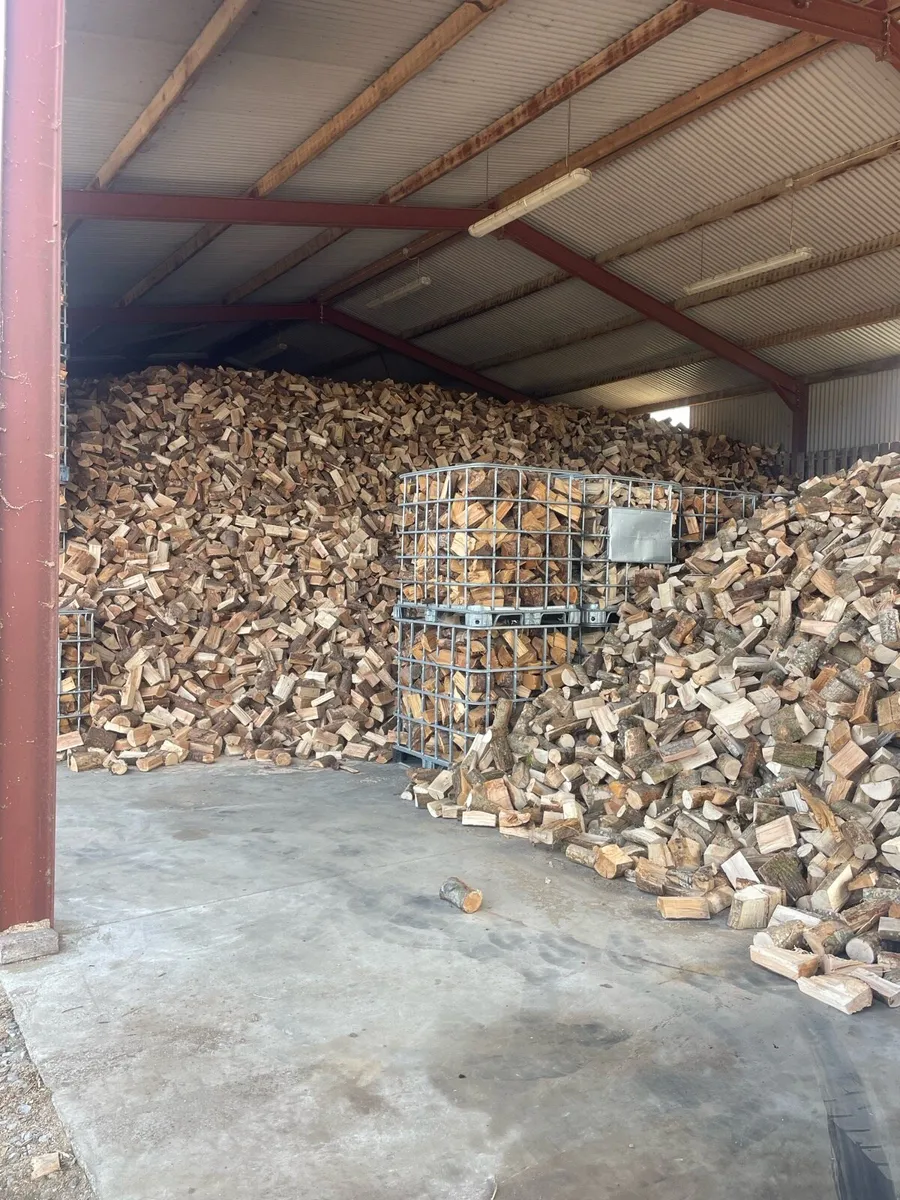 Firewood - Image 1