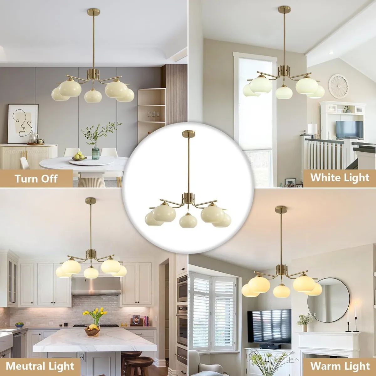 Lighting Modern Brushed 5-Light Glass Globe - Image 3