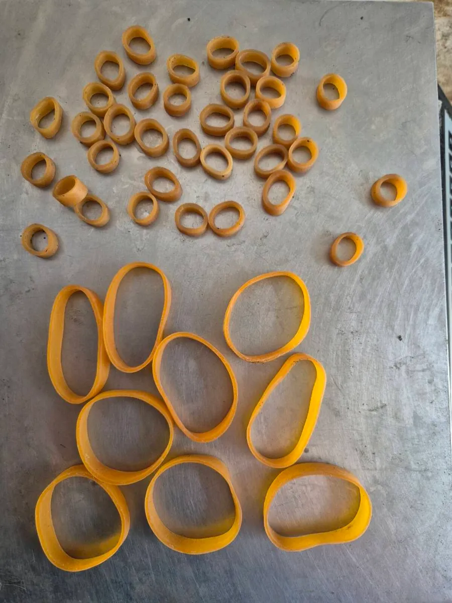 Rubber bands for sale - Image 1