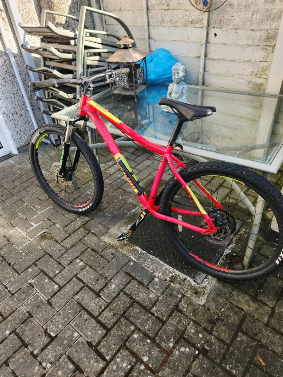 Mountain Bike - Image 1