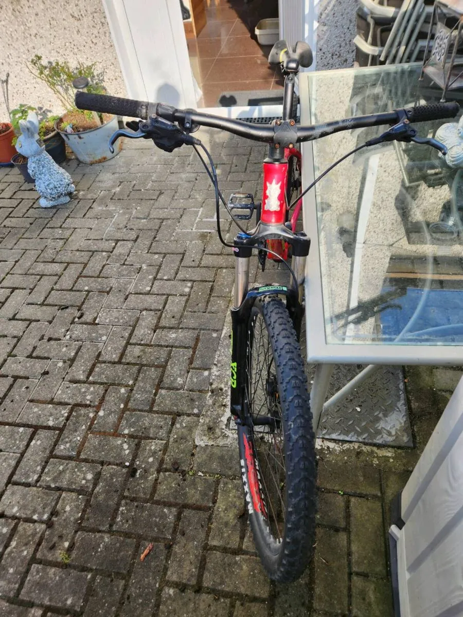 Mountain Bike - Image 3