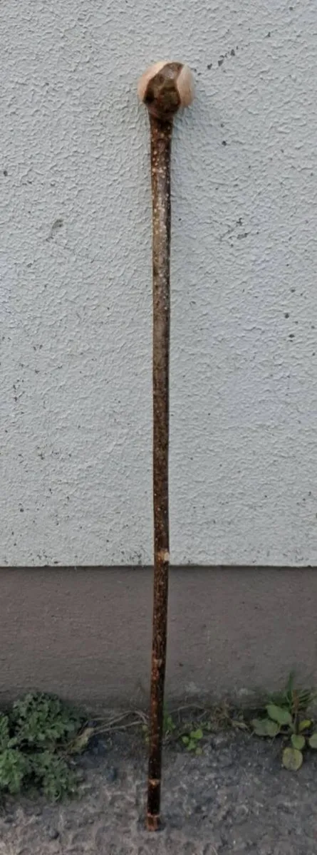 Hazal walking stick - Image 2