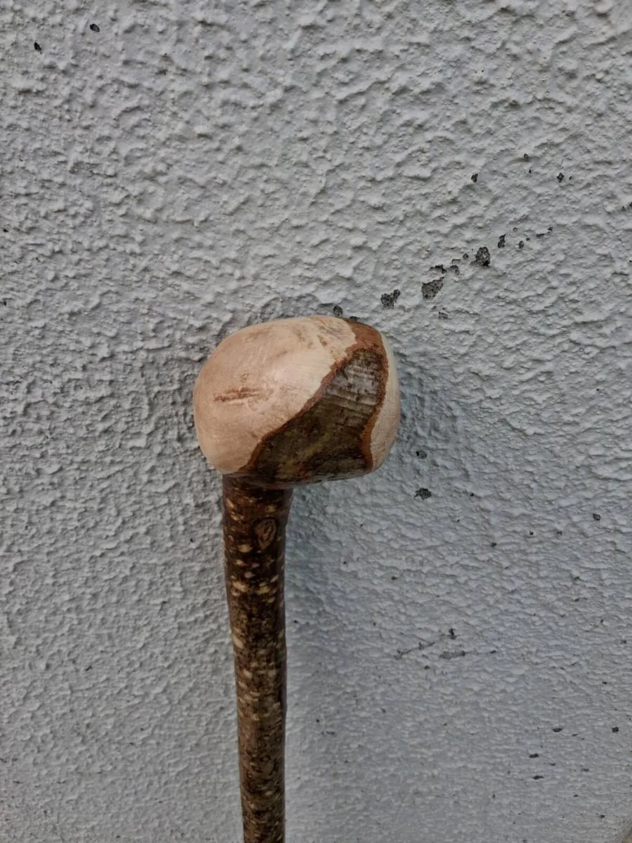 Hazal walking stick - Image 3