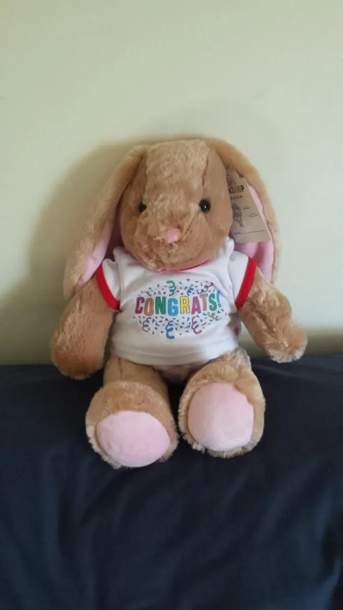Build a Bear bunny rabbits x 2 - Image 1