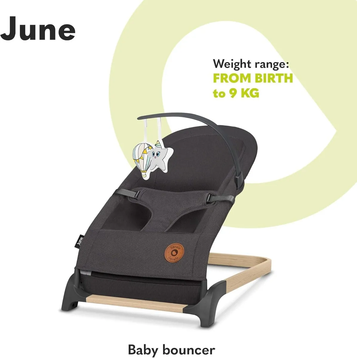 June Baby Bouncer and Rocker From Birth Up - Image 3