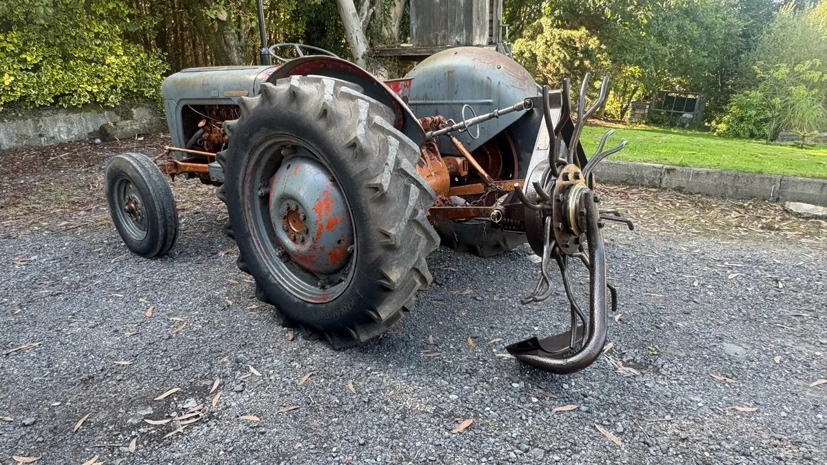 Tamkin potato Digger Spinner Very Original Badged - Image 4