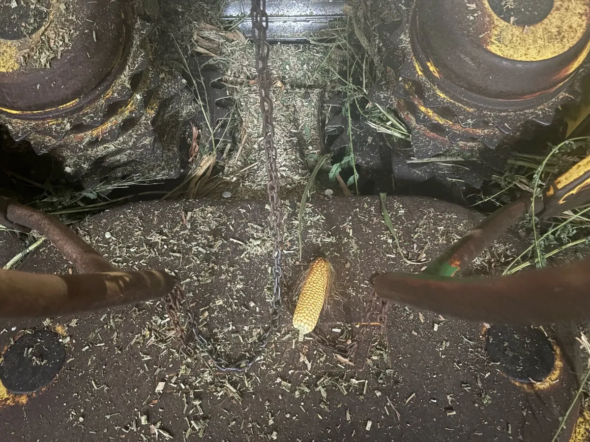 Maize header - Image 2