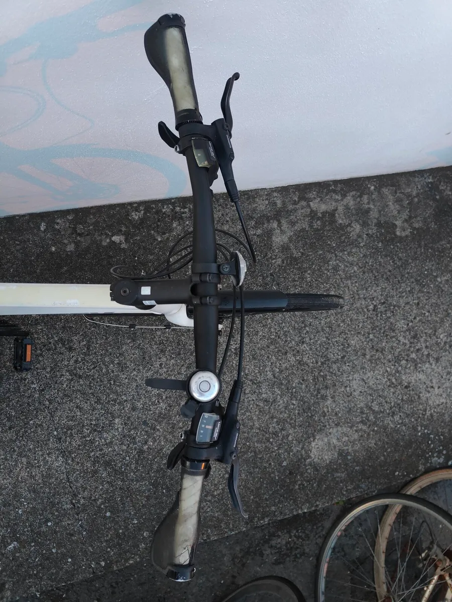 Trek FX3 adult bike - Image 1