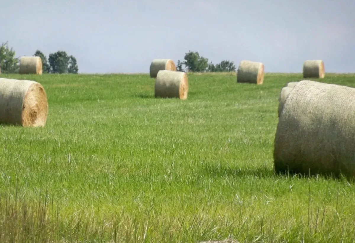 Round Hay Bales