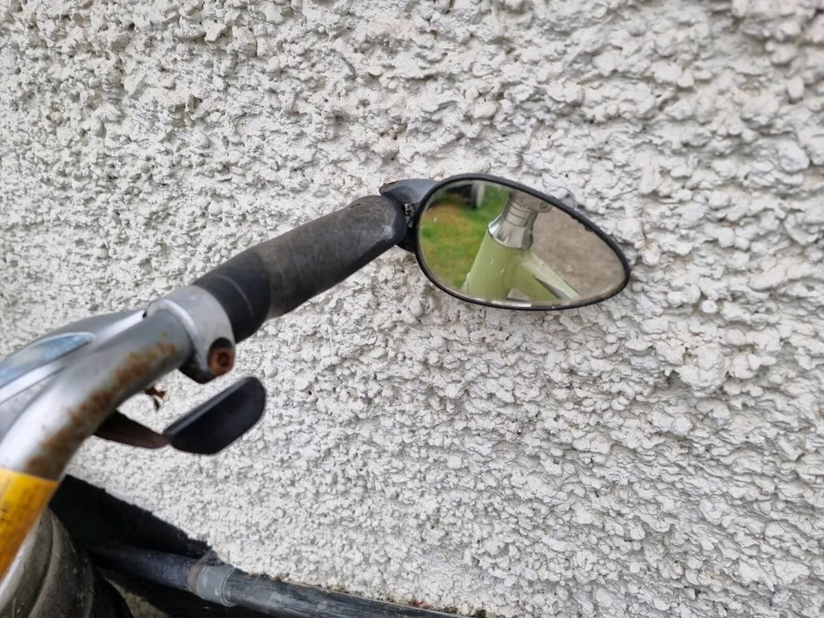 Giant bike - Image 2