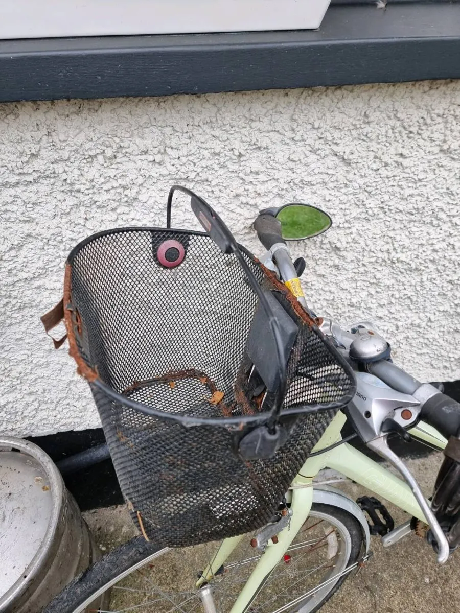 Giant bike - Image 3