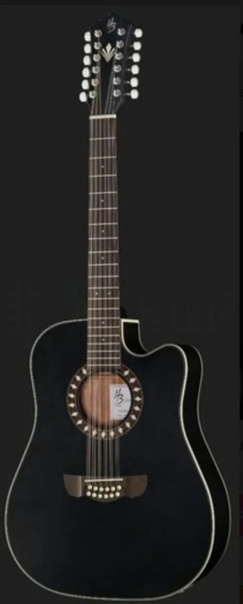 HB 12 string semi acoustic with Hercules stand. - Image 1