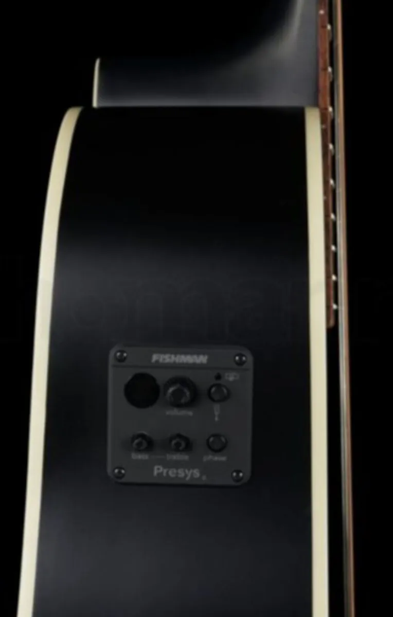 HB 12 string semi acoustic with Hercules stand. - Image 2