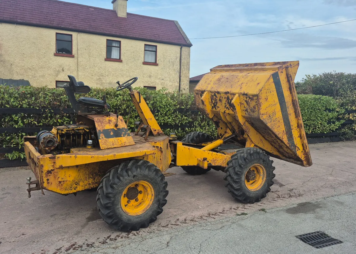 3 TON DUMPER - Image 4