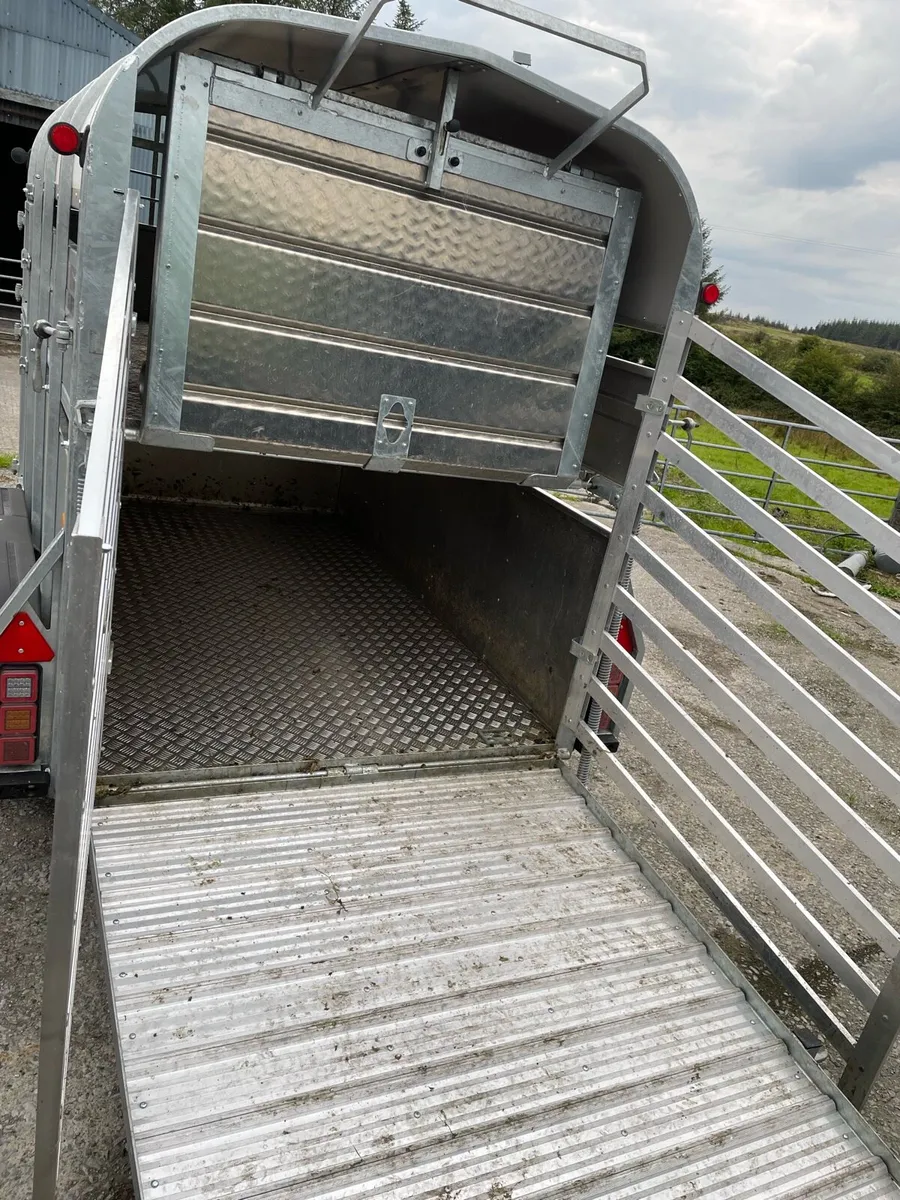 2026 8x5 nugent cattle trailer with decks - Image 4