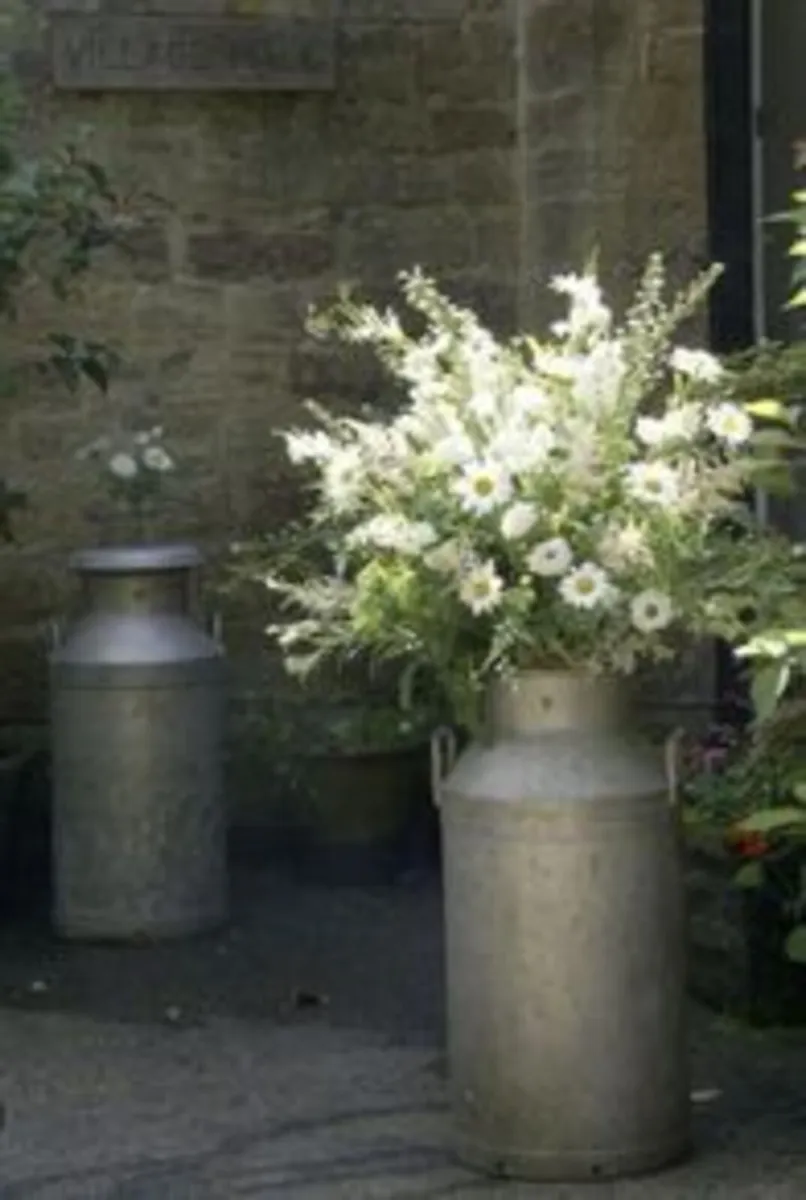 Two Milk Churns for Hire