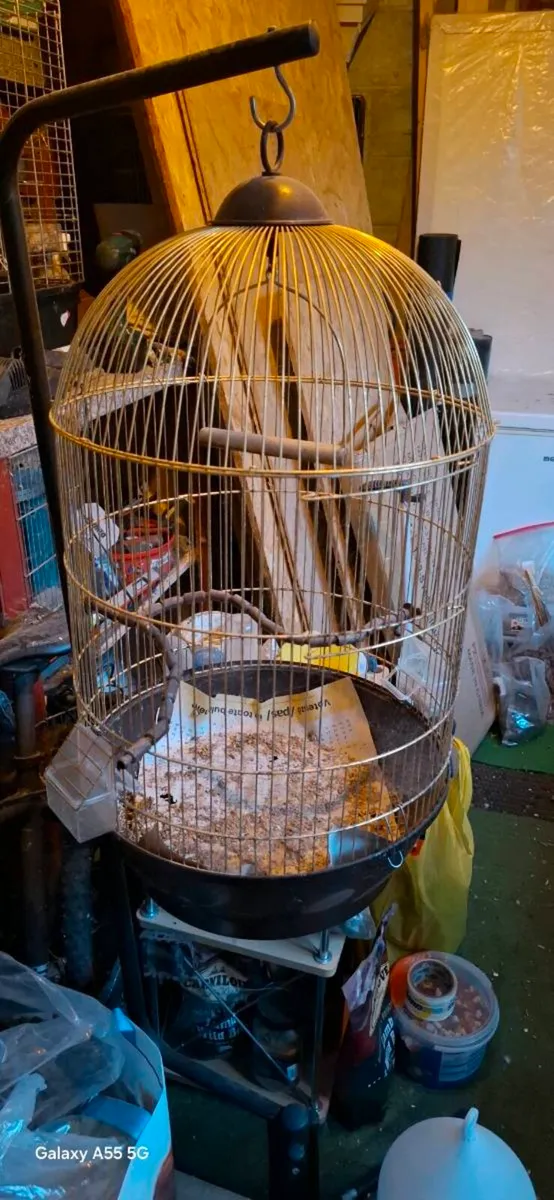 Cages - Image 2