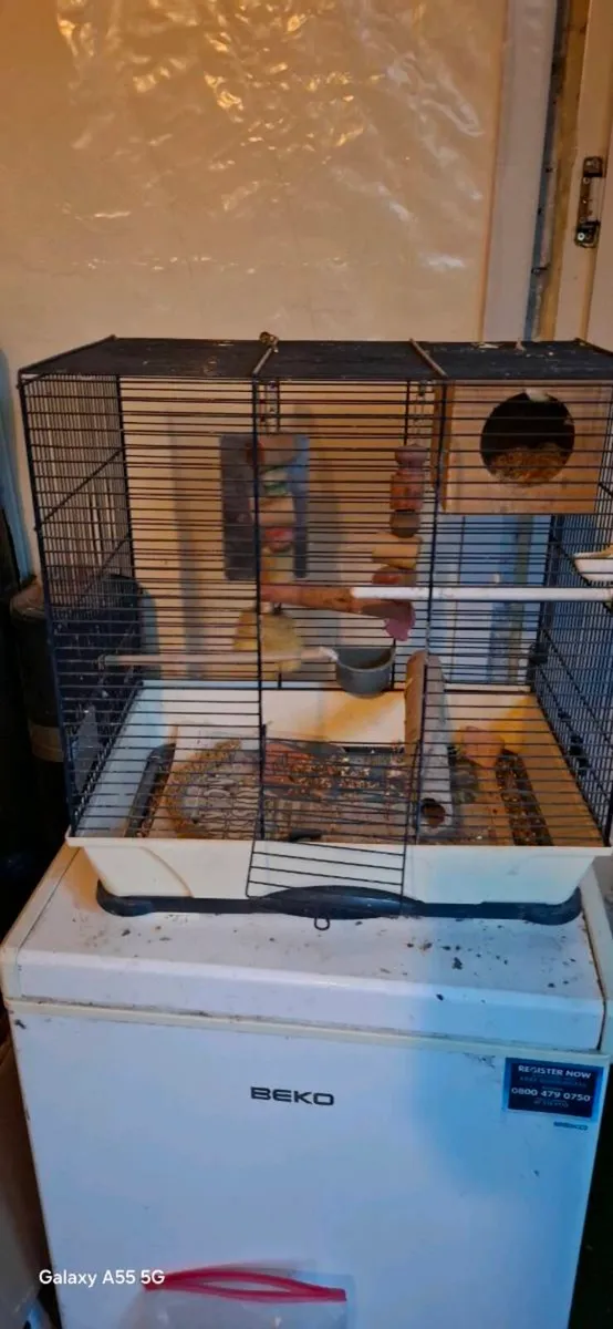 Cages - Image 1