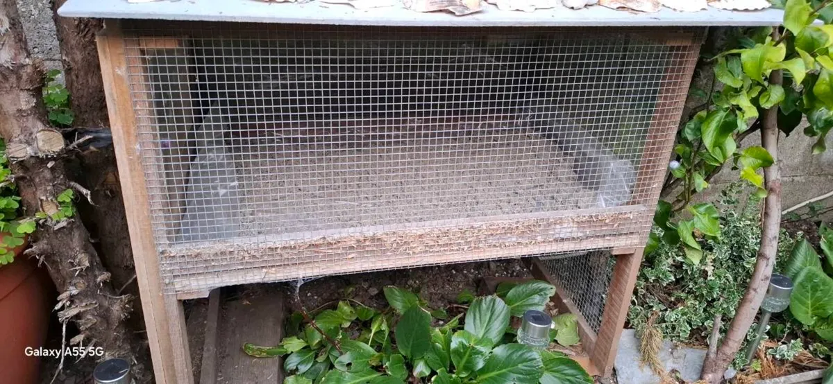 Cages - Image 3