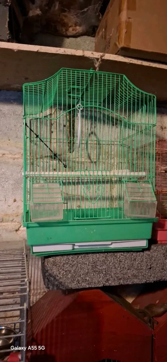 Cages - Image 4