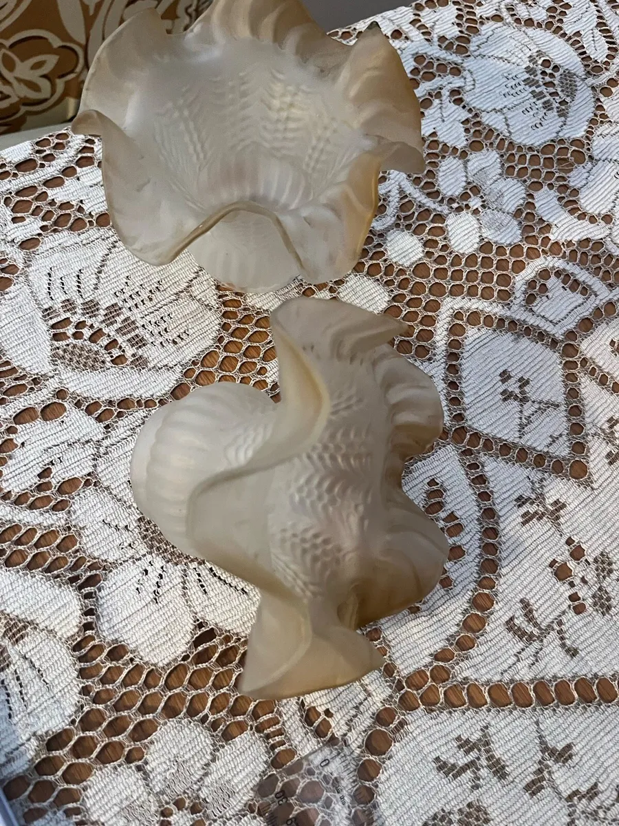 2  glass vintage lampshades - Image 3