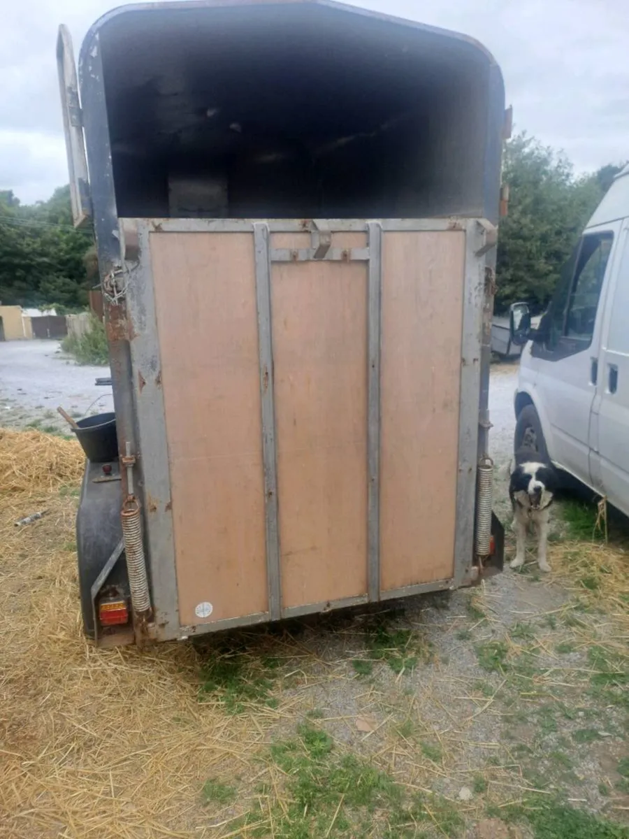 Horse trailer - Image 3