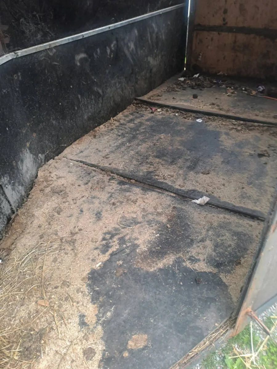 Horse trailer - Image 4