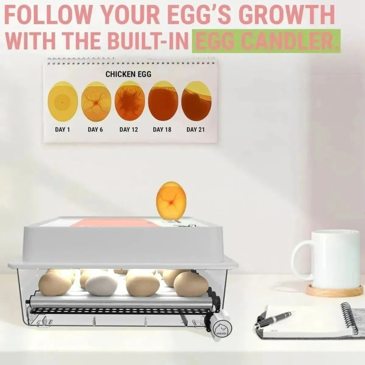 Egg Incubator 36 Egg Auto Turner Poultry - Image 2