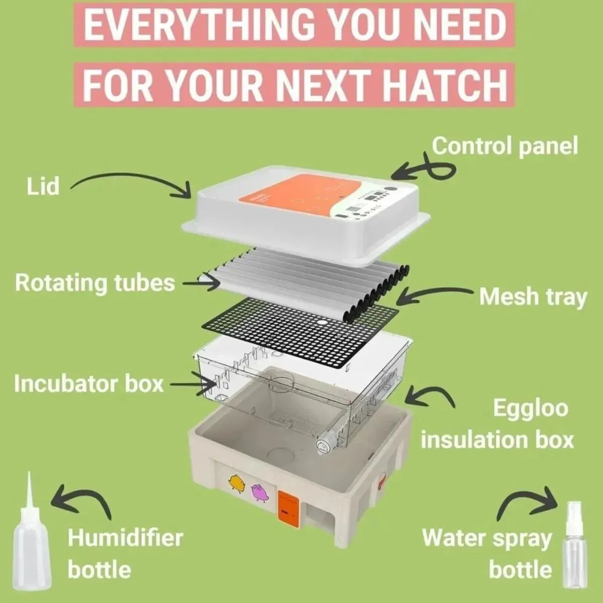 Egg Incubator 36 Egg Auto Turner Poultry - Image 3