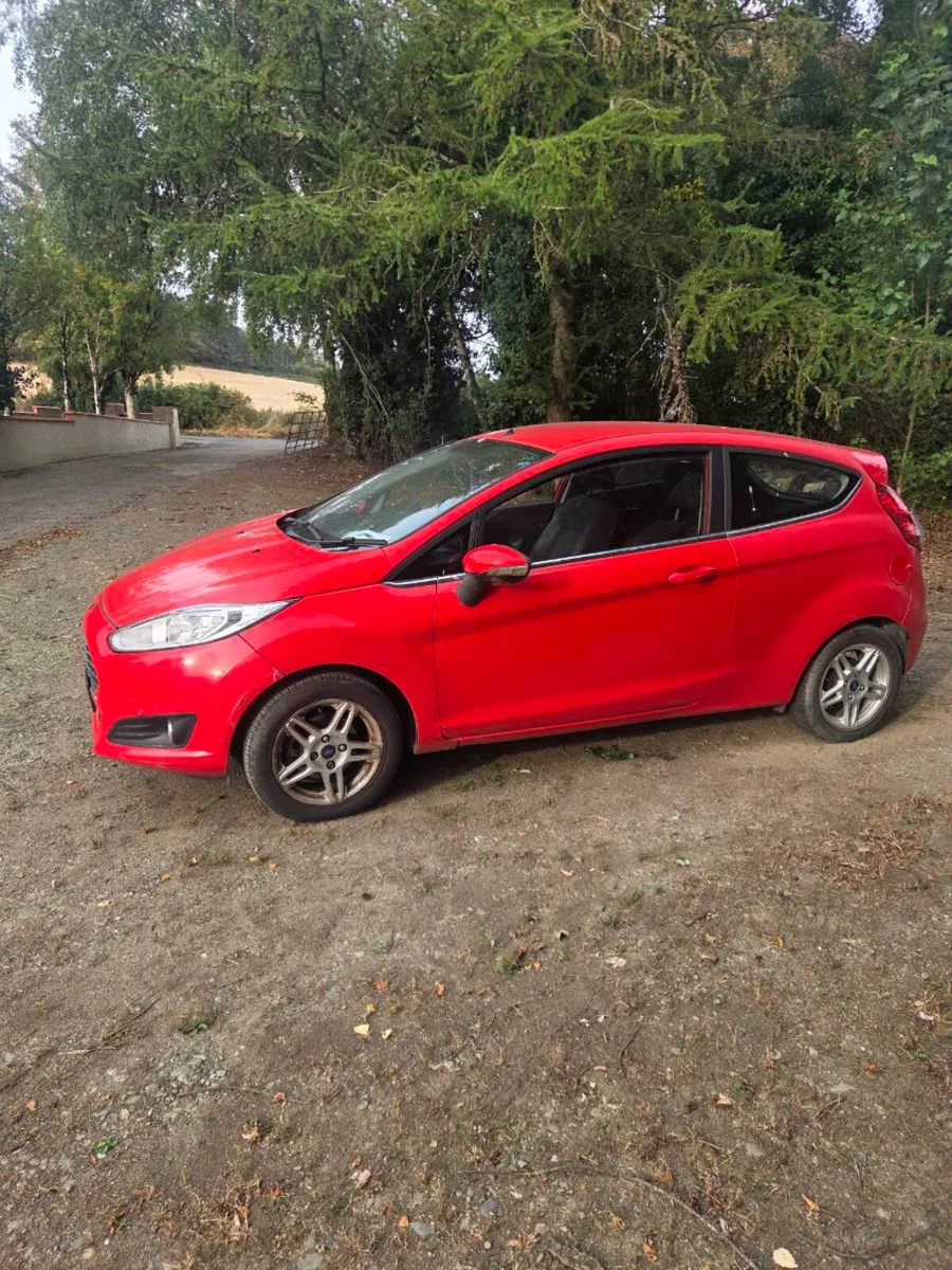 Fiesta - Image 1