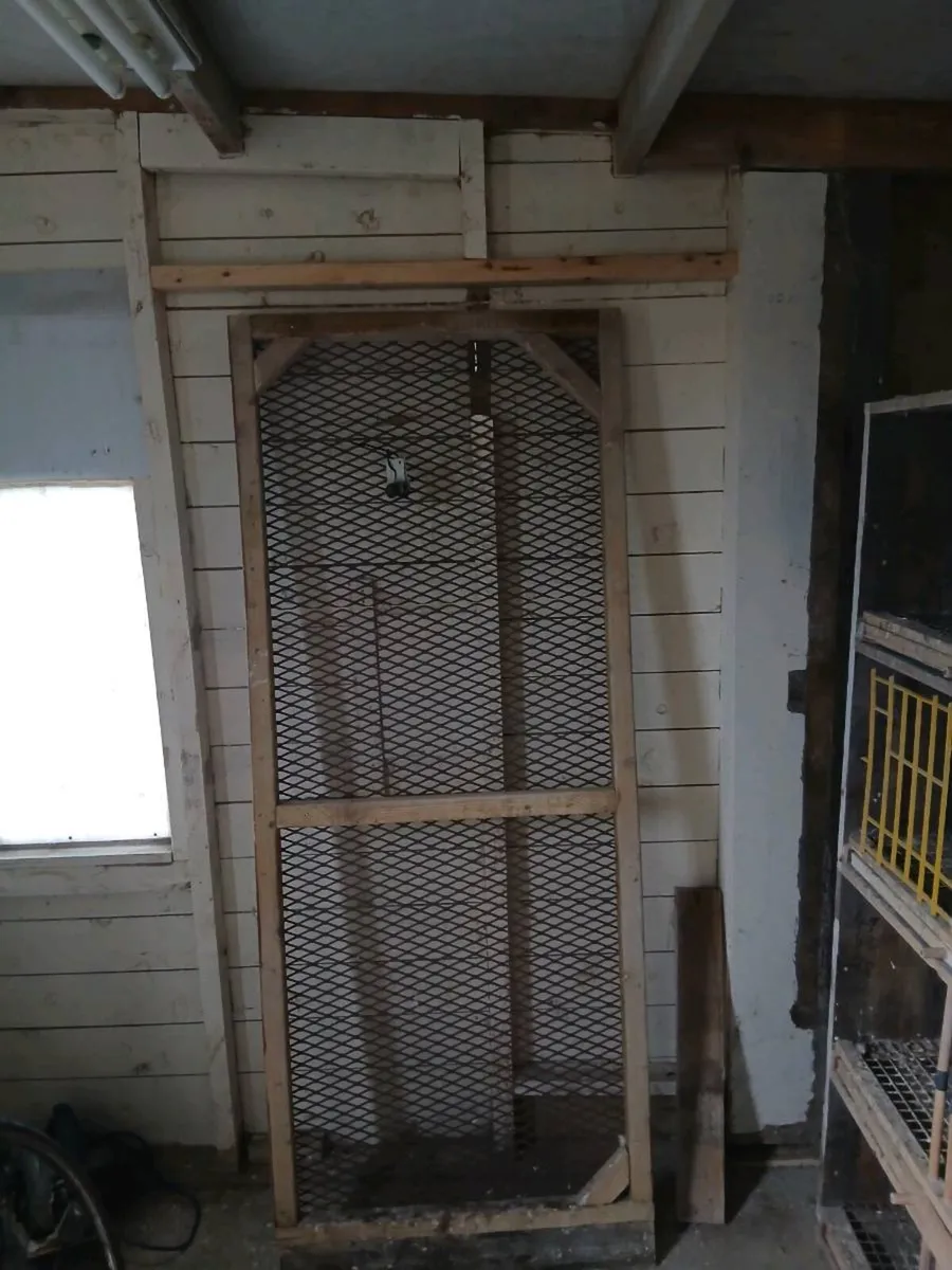 Pigeon loft equitment - Image 4