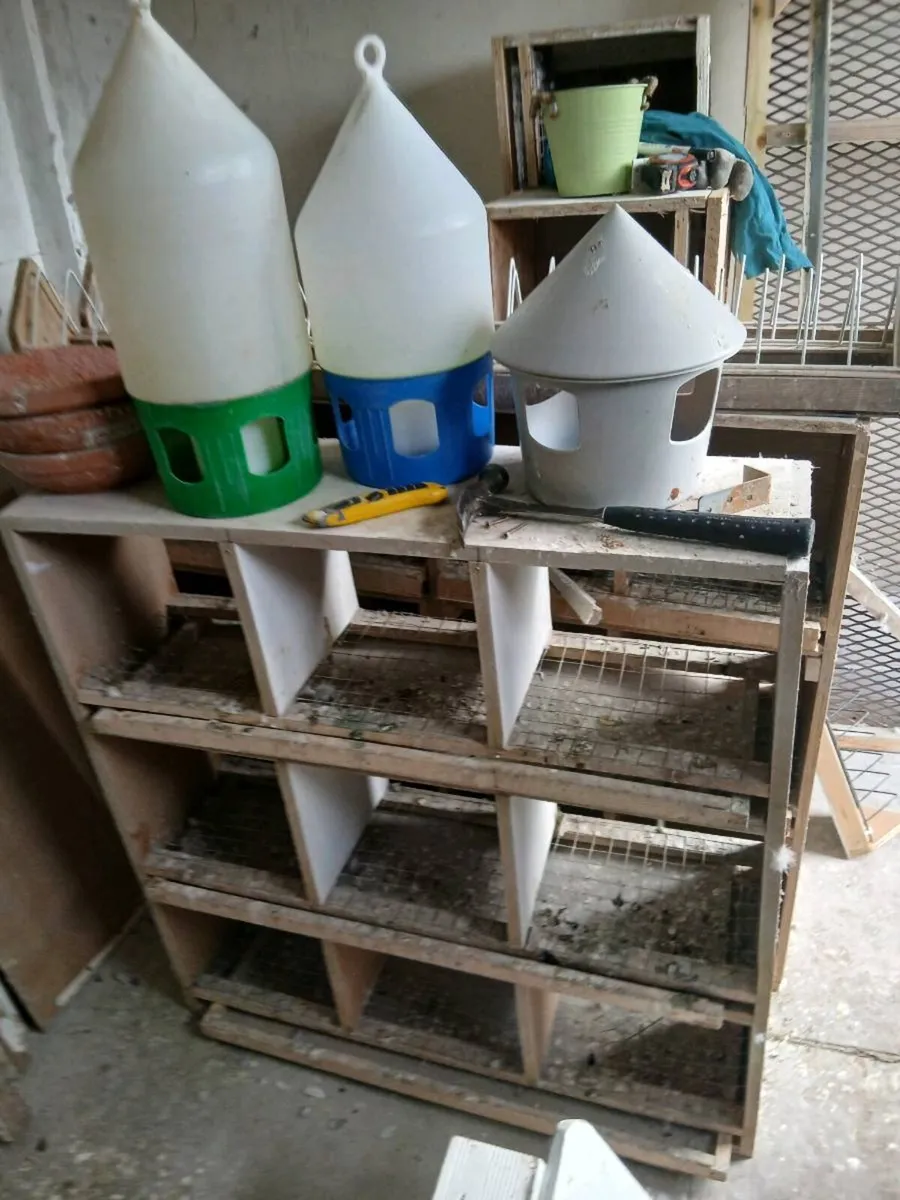 Pigeon loft equitment - Image 2