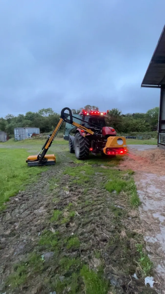 Hedge cutting - Image 1