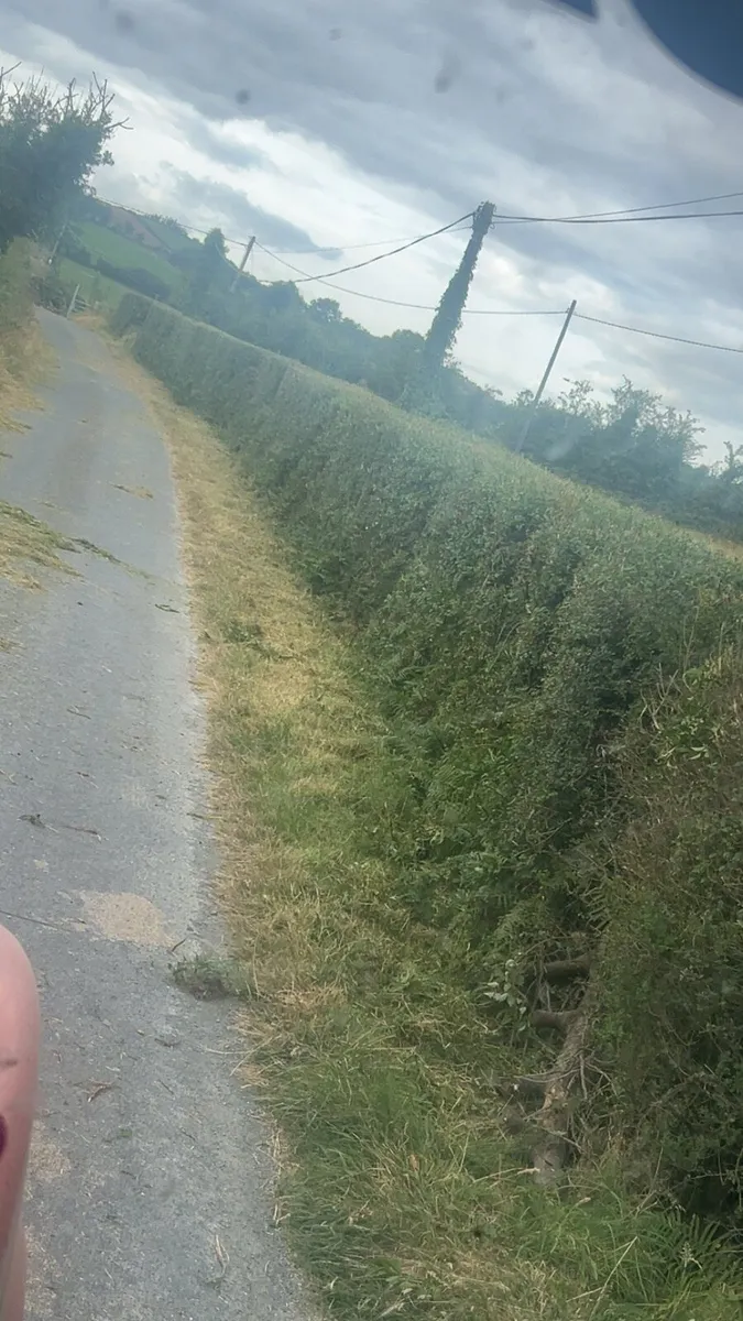 Hedge cutting - Image 2